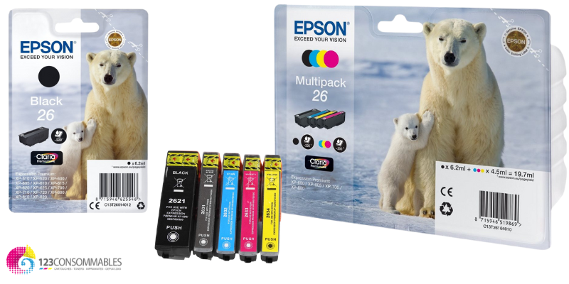 EPSON T26 - Ours Polaire